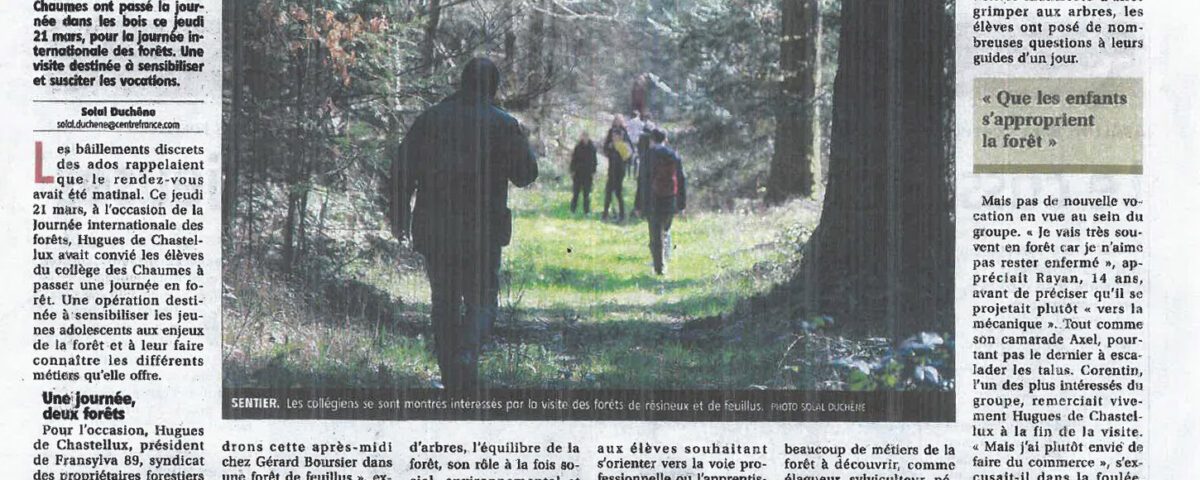 La forêt se dévoile aux collégiens