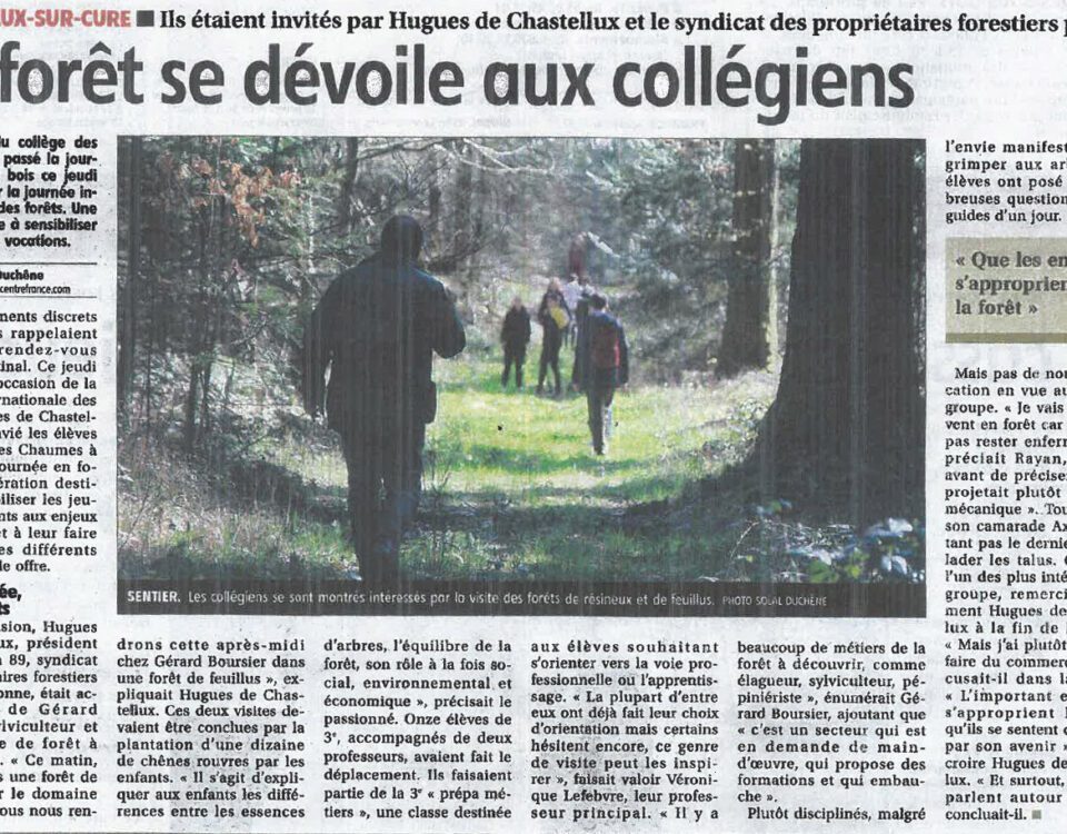 La forêt se dévoile aux collégiens