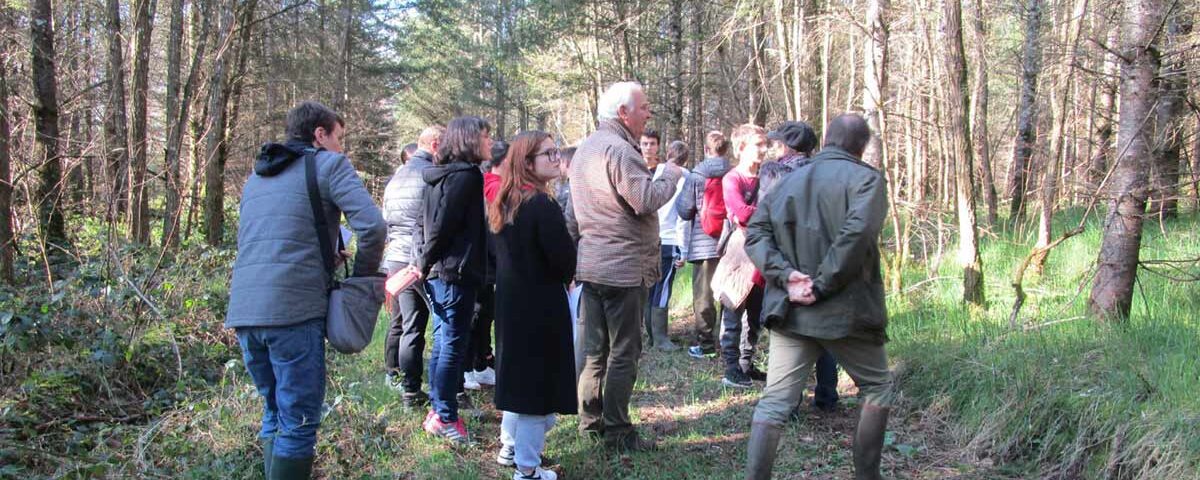 Des collégiens découvrent la sylviculture