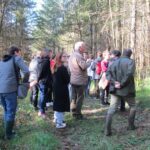 Des collégiens découvrent la sylviculture