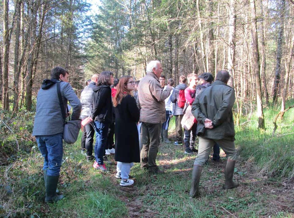 Des collégiens découvrent la sylviculture