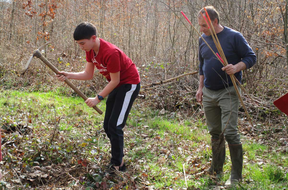 Des collégiens plantent des arbres