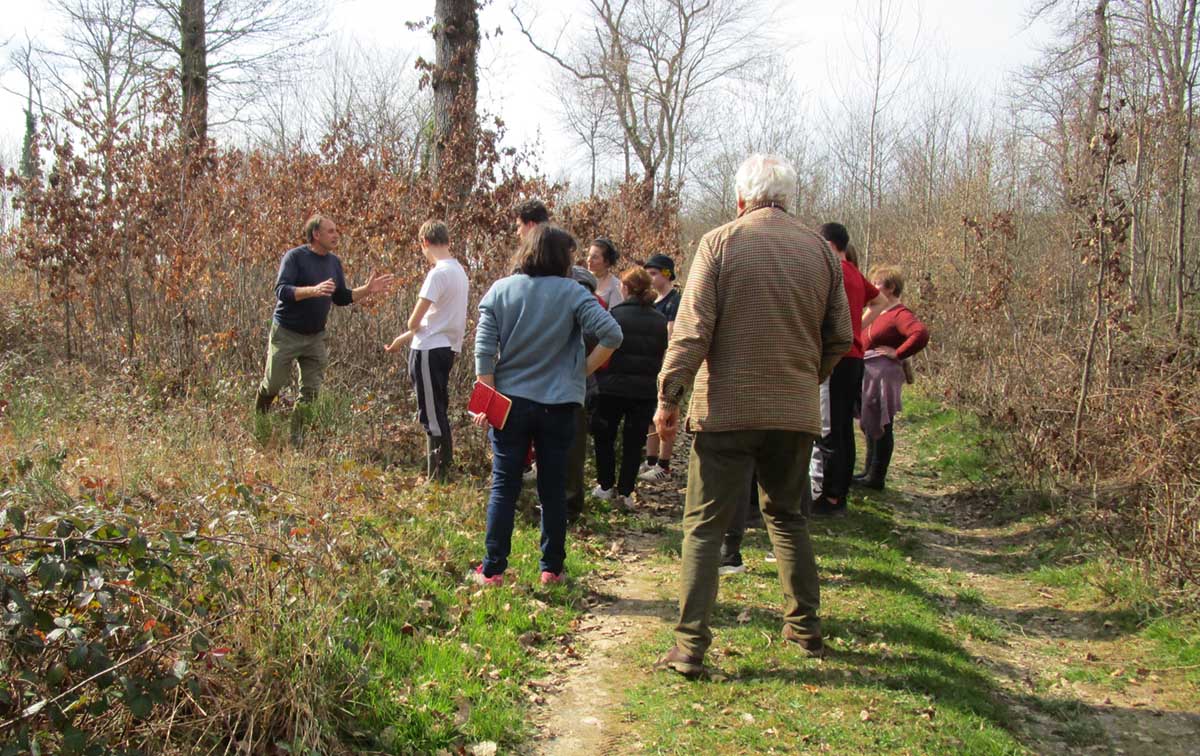 Des forêts qui s'adaptent au réchauffement climatique